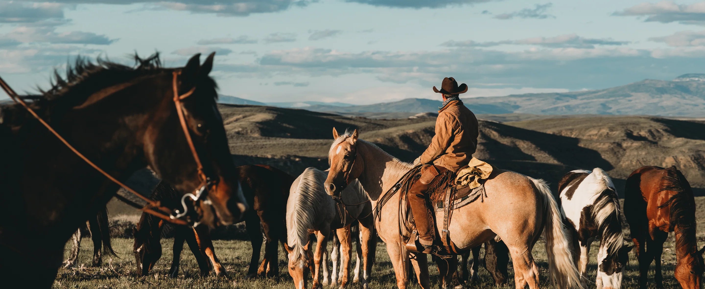 Durable, Comfortable Workwear & Outdoor Apparel | DRI DUCK