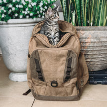 Traveler Bag