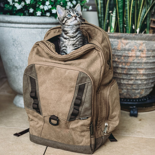 CARRY WITH CONFIDENCE