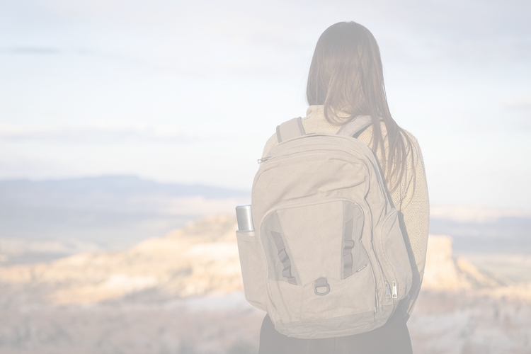 Field khaki Traveler Outdoor Backpack – 32L capacity – spacious compartments for travel and hiking