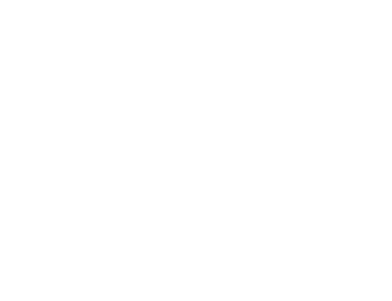 LEVEL 1 LIGHT RAIN