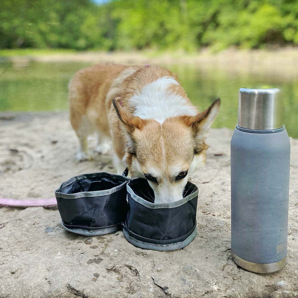 Packable Duo Pet Dish